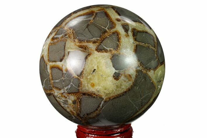 Polished Septarian Sphere - Utah #167615